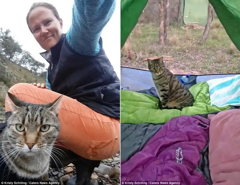 wanderlust-tips-chu-meo-cung-duoc-di-du-lich-khap-noi-cung-chu-4