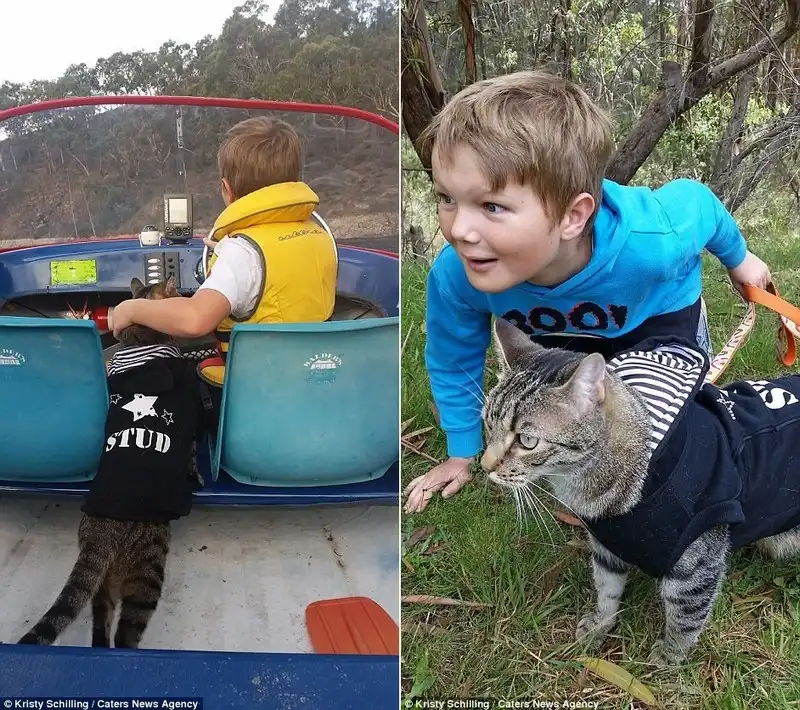 wanderlust-tips-chu-meo-cung-duoc-di-du-lich-khap-noi-cung-chu-5