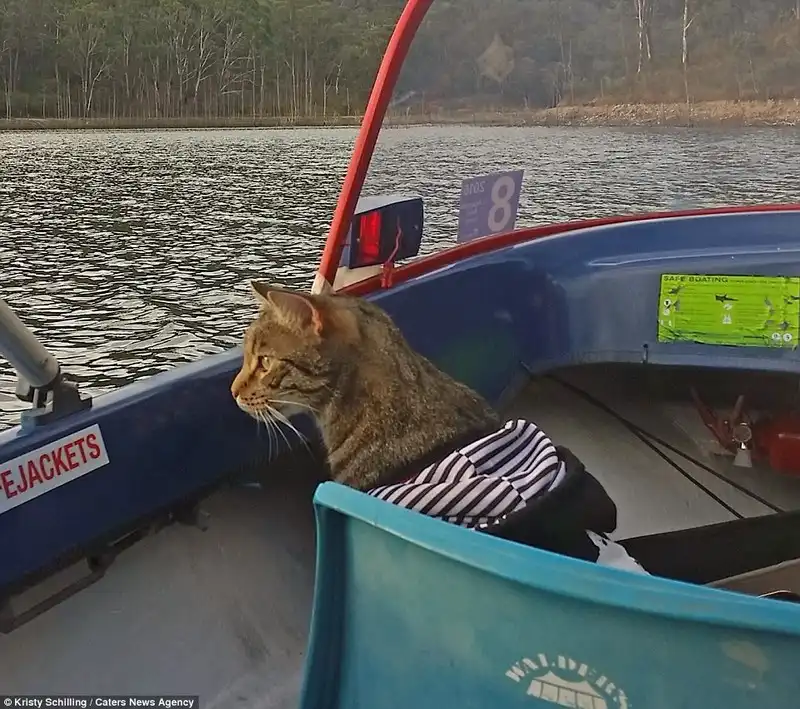 wanderlust-tips-chu-meo-cung-duoc-di-du-lich-khap-noi-cung-chu-6