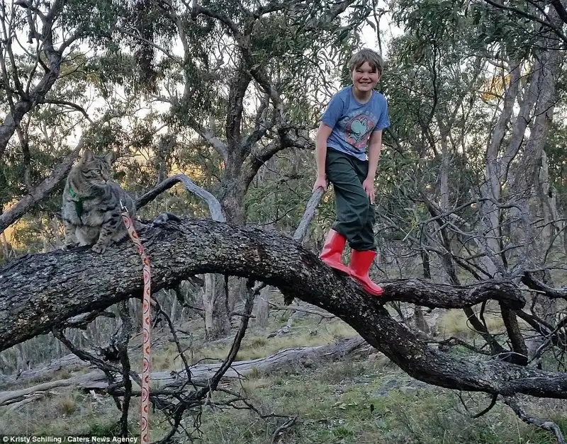 wanderlust-tips-chu-meo-cung-duoc-di-du-lich-khap-noi-cung-chu-8