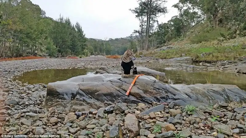 wanderlust-tips-chu-meo-cung-duoc-di-du-lich-khap-noi-cung-chu-9