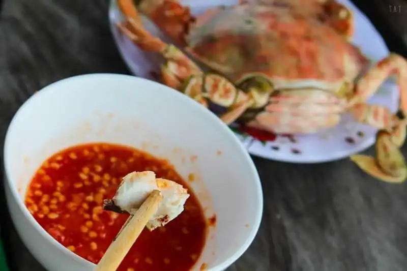 wanderlust-tips-dep-me-dam-cung-duong-ven-bien-ninh-thuan-khanh-hoa-phu-yen-10