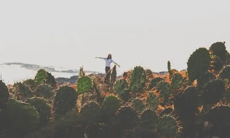 wanderlust-tips-dep-me-dam-cung-duong-ven-bien-ninh-thuan-khanh-hoa-phu-yen-15