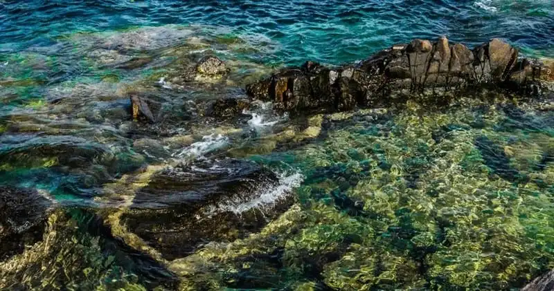 wanderlust-tips-dep-me-dam-cung-duong-ven-bien-ninh-thuan-khanh-hoa-phu-yen-2