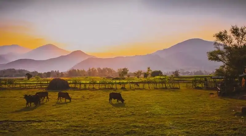 wanderlust-tips-dep-me-dam-cung-duong-ven-bien-ninh-thuan-khanh-hoa-phu-yen-6