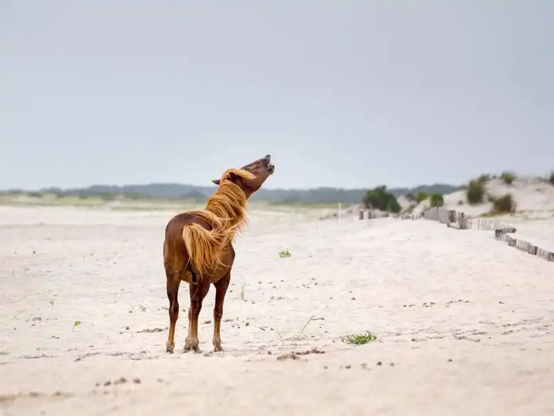 wanderlust-tips-diem-danh-30-bai-bien-dep-nhat-hanh-tinh-12