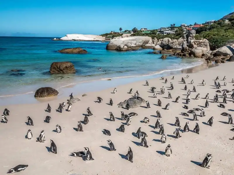 wanderlust-tips-diem-danh-30-bai-bien-dep-nhat-hanh-tinh-6