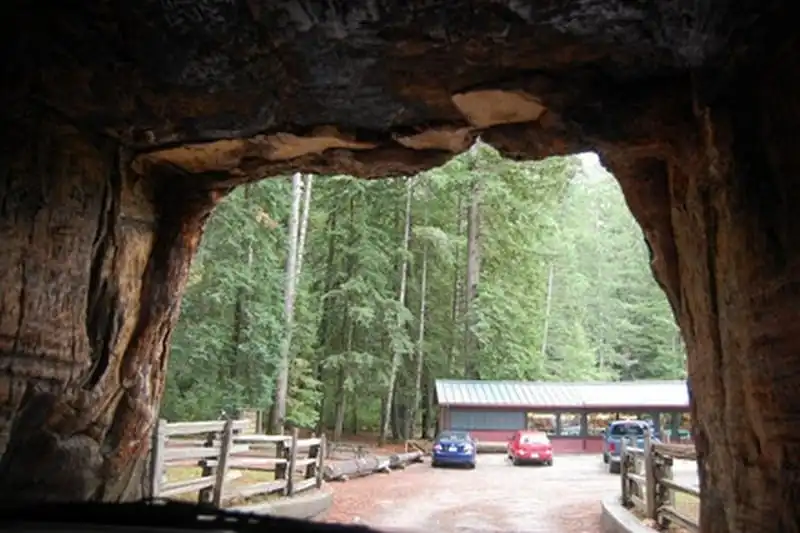 wanderlust-tips-doc-dao-loi-di-xuyen-than-cay-o-california-12