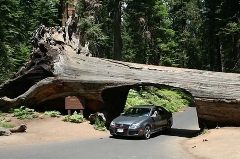 wanderlust-tips-doc-dao-loi-di-xuyen-than-cay-o-california-18