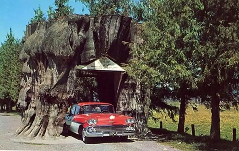 wanderlust-tips-doc-dao-loi-di-xuyen-than-cay-o-california-21