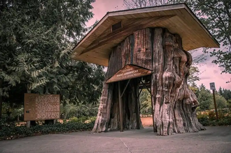 wanderlust-tips-doc-dao-loi-di-xuyen-than-cay-o-california-22