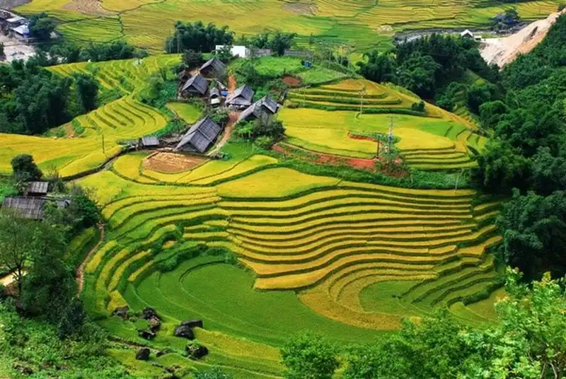 wanderlust-tips-du-lich-viet-nam-hap-dan-trong-goc-nhin-bao-nuoc-ngoai-2