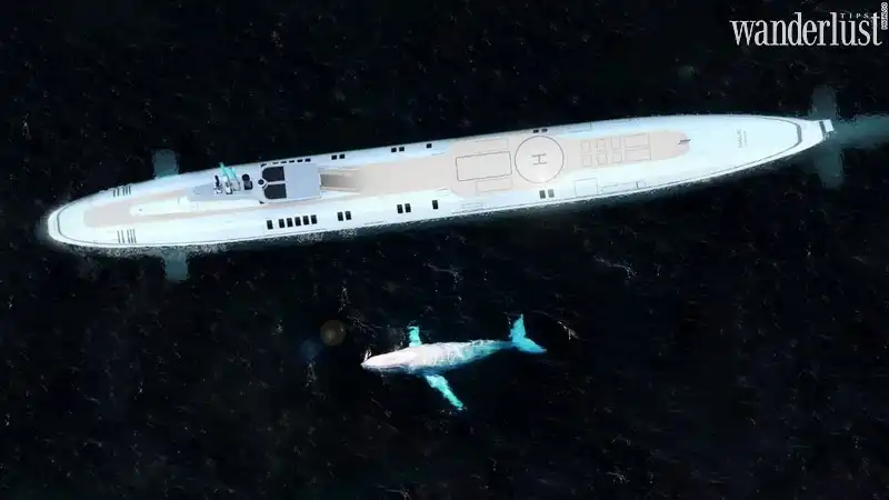 Tạp chí Du lịch Wanderlust Tips Migaloo: Du thuyền kết hợp tàu ngầm có thể lặn sâu 240m 