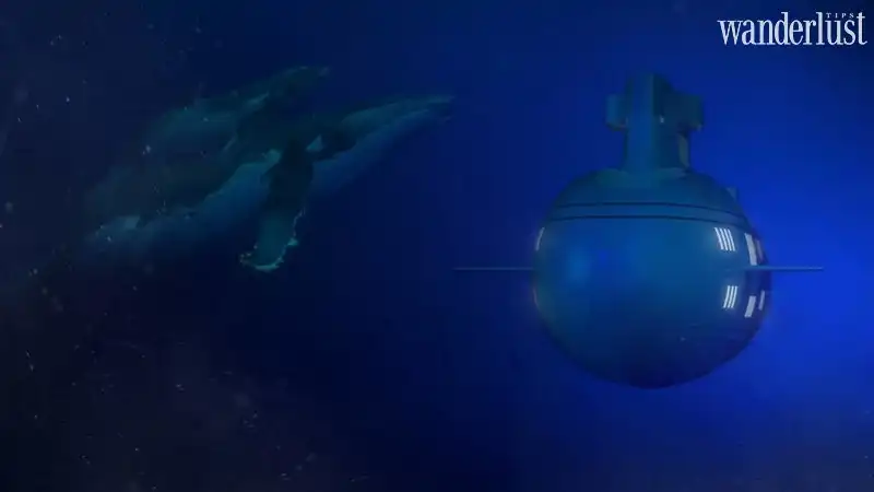 Tạp chí Du lịch Wanderlust Tips Migaloo: Du thuyền kết hợp tàu ngầm có thể lặn sâu 240m 