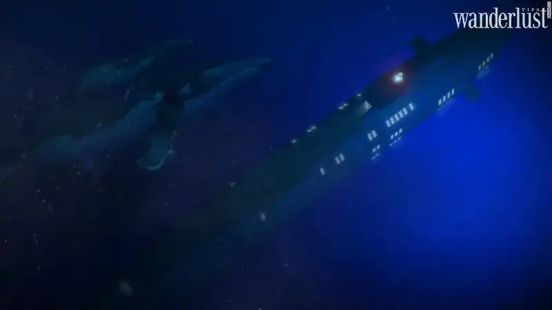 wanderlust tips du thuyen ket hop tau ngam co the lan sau 240m 05