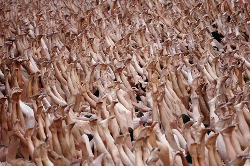 wanderlust-tips-hang-ngan-nguoi-khoa-than-tap-the-vi-nghe-thuat-10