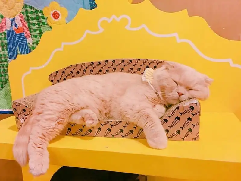 wanderlust-tips-hanh-trinh-kham-pha-seoul-thien-duong-am-thuc-thoi-trang-va-lam-dep-5