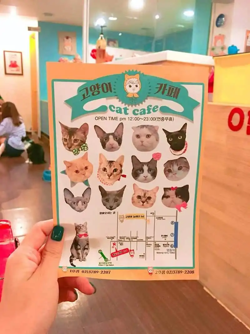 wanderlust-tips-hanh-trinh-kham-pha-seoul-thien-duong-am-thuc-thoi-trang-va-lam-dep-6