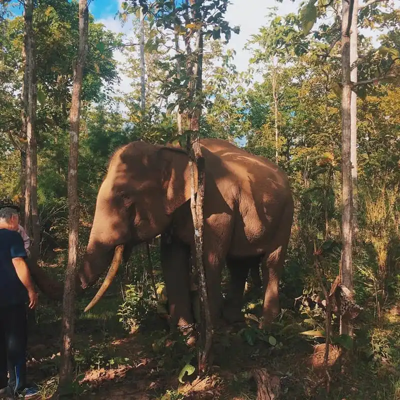 wanderlust-tips-hay-toi-buon-ma-thuot-mot-lan-chac-chan-ban-se-phai-long-ngay-noi-nay-3