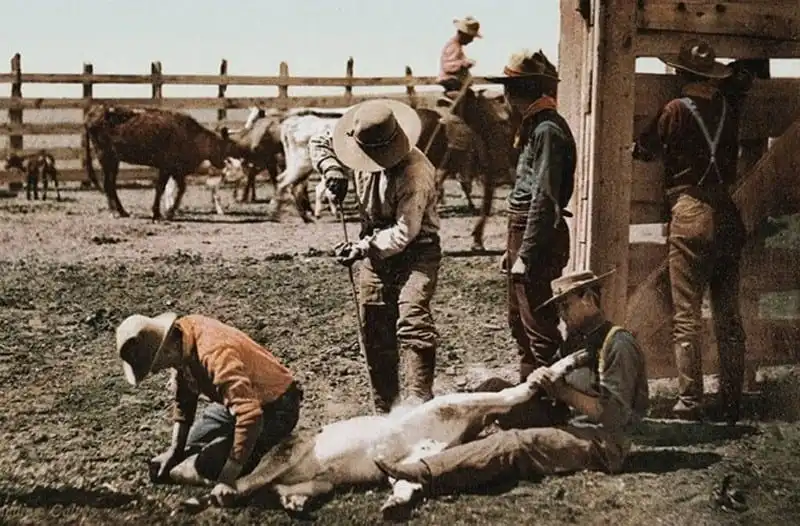 wanderlust-tips-hinh-anh-mau-hiem-hoi-ve-nuoc-my-nhung-nam-buoc-vao-the-ky-20-3