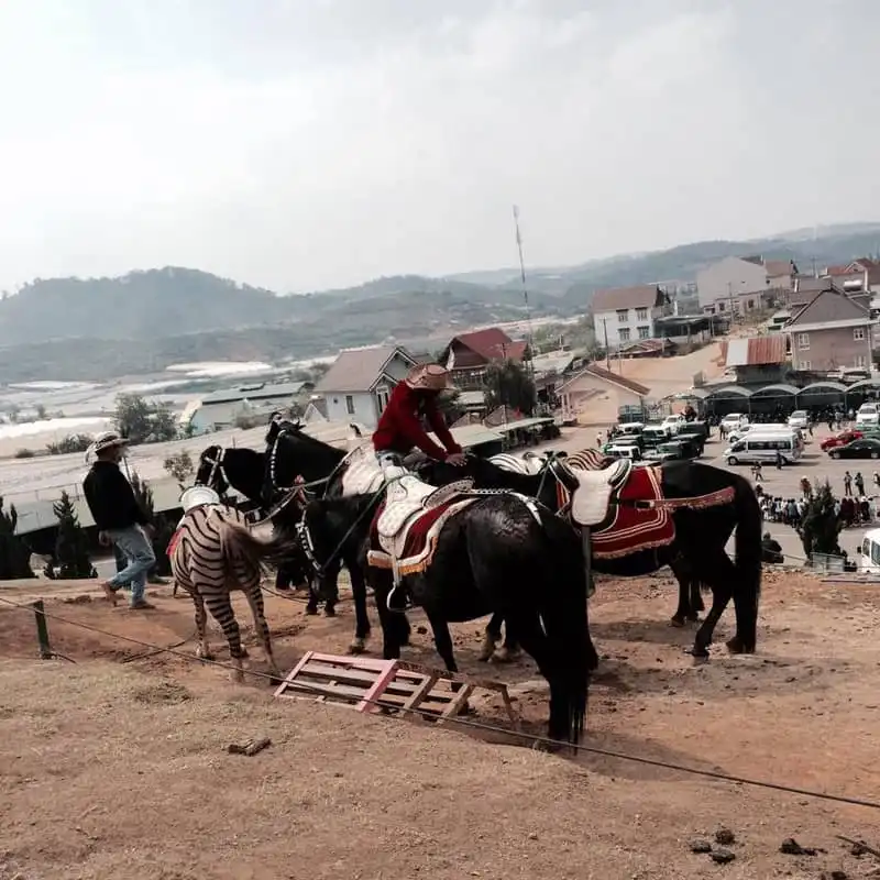 wanderlust-tips-kinh-nghiem-du-lich-da-lat-tu-ha-noi-chi-voi-2-trieu-dong-17