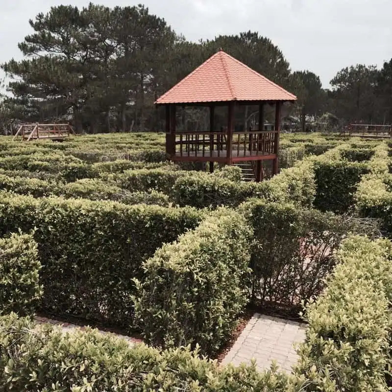 wanderlust-tips-kinh-nghiem-du-lich-da-lat-tu-ha-noi-chi-voi-2-trieu-dong-19