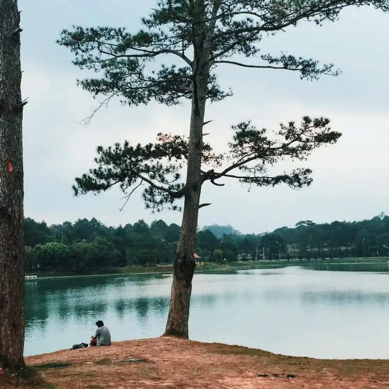 wanderlust-tips-kinh-nghiem-du-lich-da-lat-tu-ha-noi-chi-voi-2-trieu-dong-21