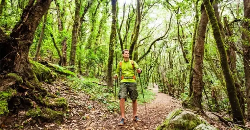 Kỹ năng sống sót khi bị lạc trong rừng (Phần 1) 5 wanderlust-tips-ky-nang-song-sot-khi-bi-lac-trong-rung-2