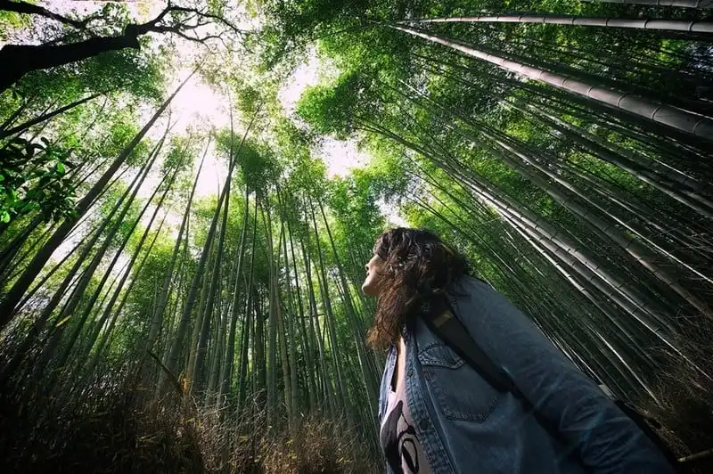 wanderlust-tips-ky-nang-song-sot-khi-bi-lac-trong-rung-7
