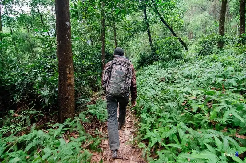 Kỹ năng sống sót khi bị lạc trong rừng (Phần 2) 7 wanderlust-tips-ky-nang-song-sot-khi-bi-lac-trong-rung-9