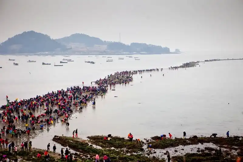 Kỳ thú những con đường giữa biển trên khắp thế giới 7 View from a hill top to the open "Mysterious Sea Road" at Hoedong shore (Jindo island). Jindo is the 3rd biggest island in South Korea located in the South-West end of the country and famous for the "Mysterious Sea Route" or "Moses Miracle". Every spring thousands flock to the shores of Jindo to walk the mysterious route that stretches roughly three kilometers from Hoedong to the distant island of Modo. Materializing from the rise and fall of the tides, the divide can reach as wide as forty meters.