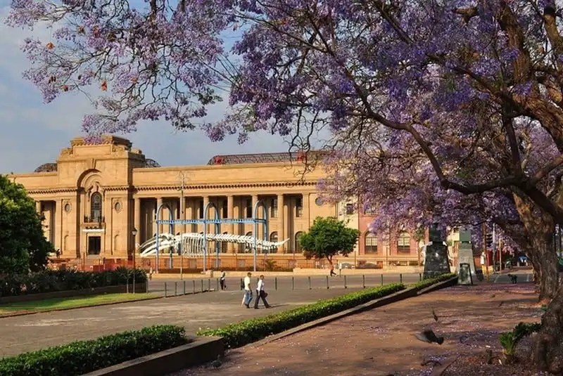 wanderlust-tips-lac-buoc-vao-thien-duong-phuong-tim-o-pretoria-nam-phi-8