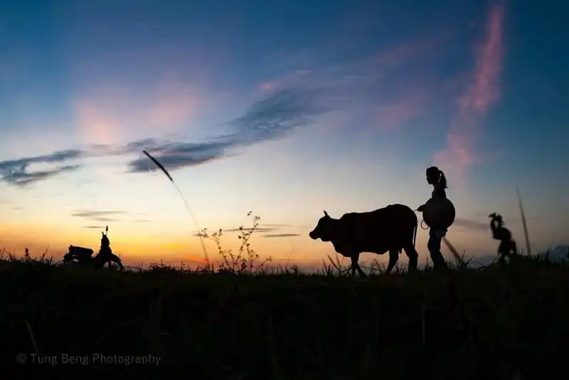 wanderlust-tips-lang-que-bac-bo-vao-mua-gat-9