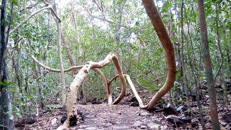 wanderlust-tips-nhung-dia-danh-o-viet-nam-du-khach-anh-tung-di-qua-truoc-khi-mat-tich-7