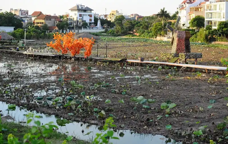 wanderlust-tips-sen-mat-mua-gioi-tre-van-doi-nang-chup-anh-tao-dang-cung-sen-10