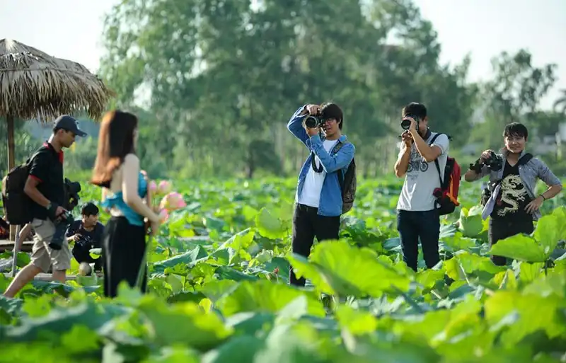 wanderlust-tips-sen-mat-mua-gioi-tre-van-doi-nang-chup-anh-tao-dang-cung-sen-11