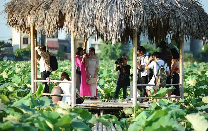 wanderlust-tips-sen-mat-mua-gioi-tre-van-doi-nang-chup-anh-tao-dang-cung-sen-19