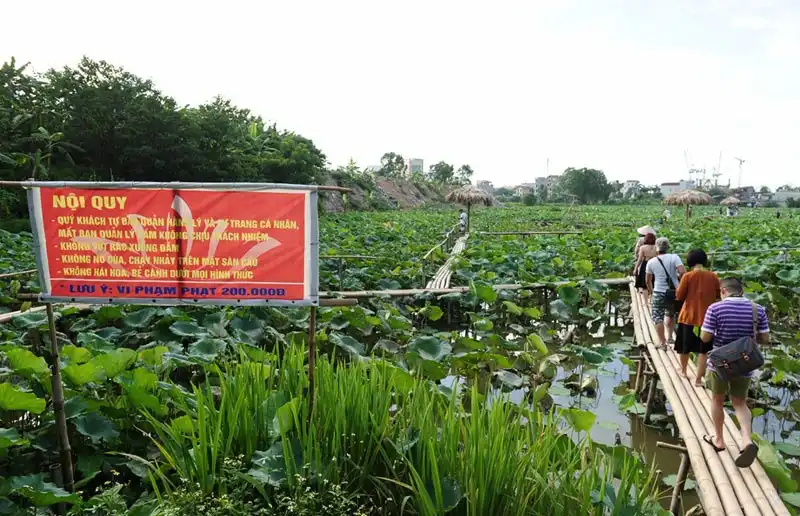 wanderlust-tips-sen-mat-mua-gioi-tre-van-doi-nang-chup-anh-tao-dang-cung-sen-8