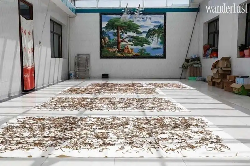 Tây Tạng: Mùa săn đông trùng hạ thảo 6 Tạp chí Du lịch Wanderlust Tips | Tây Tạng: Mùa săn đông trùng hạ thảo