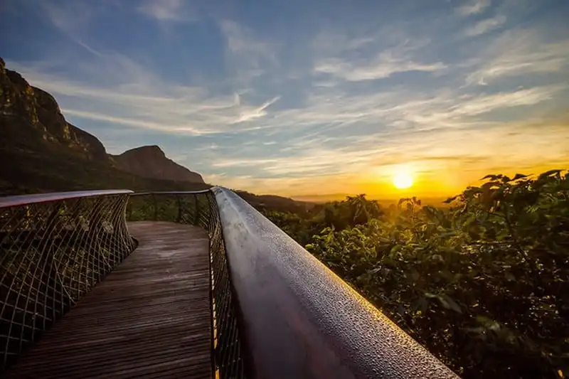 wanderlust-tips-thich-thu-loi-di-bo-tren-nhung-ngon-cay-trong-vuon-quoc-gia-o-nam-phi-6