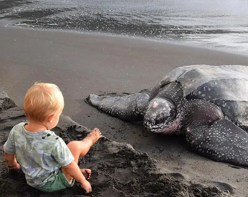 wanderlust-tips-trieu-phu-ban-het-gia-san-de-di-du-lich-khap-the-gioi-cung-vo-con-9