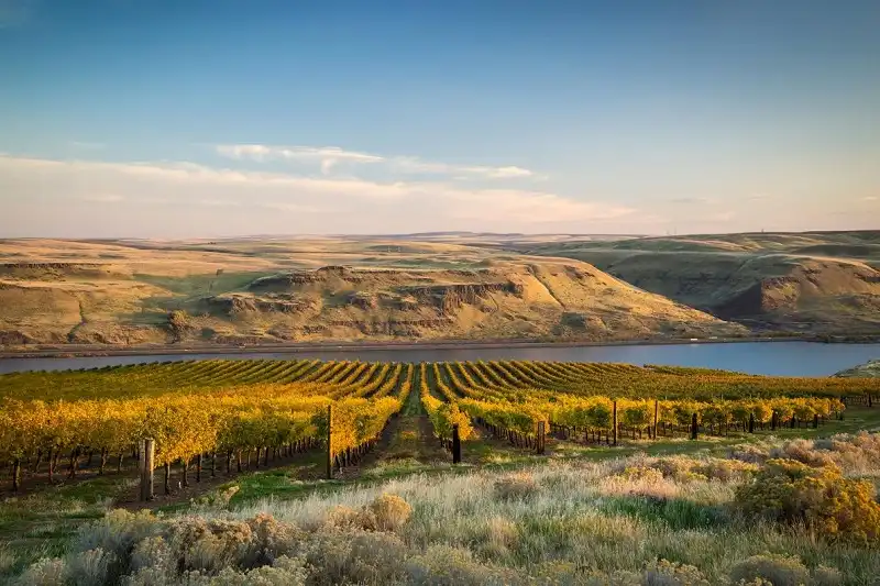 wanderlust_tips_10_diem_den_khong_bo_lo_he_2016_7