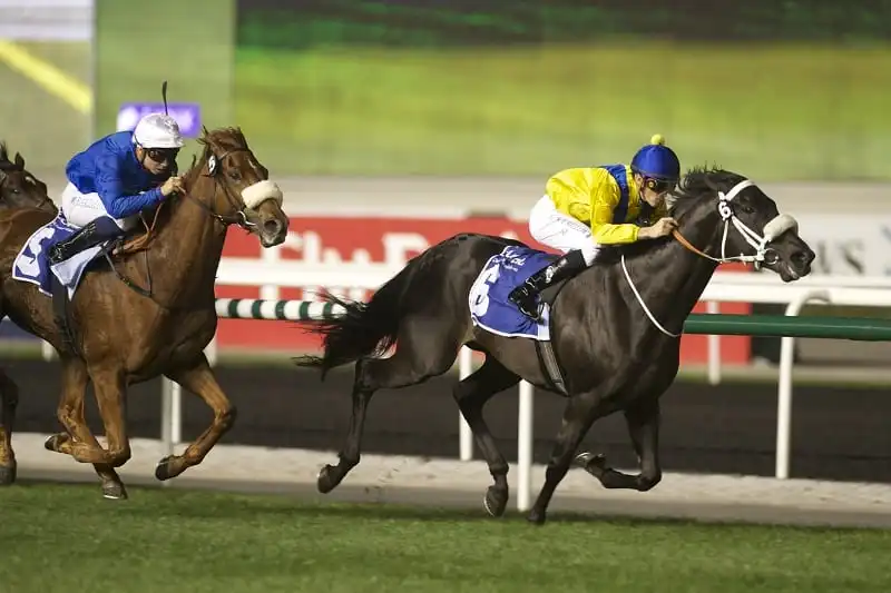 10 trải nghiệm thú vị khi du lịch Dubai 14 wanderlust_tips_10_trai_nghiem_du_lich_dubai_10