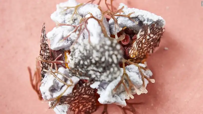 wanderlust_tips_50-nha-hang-tot-nhat-the-gioi-lo-dien 4