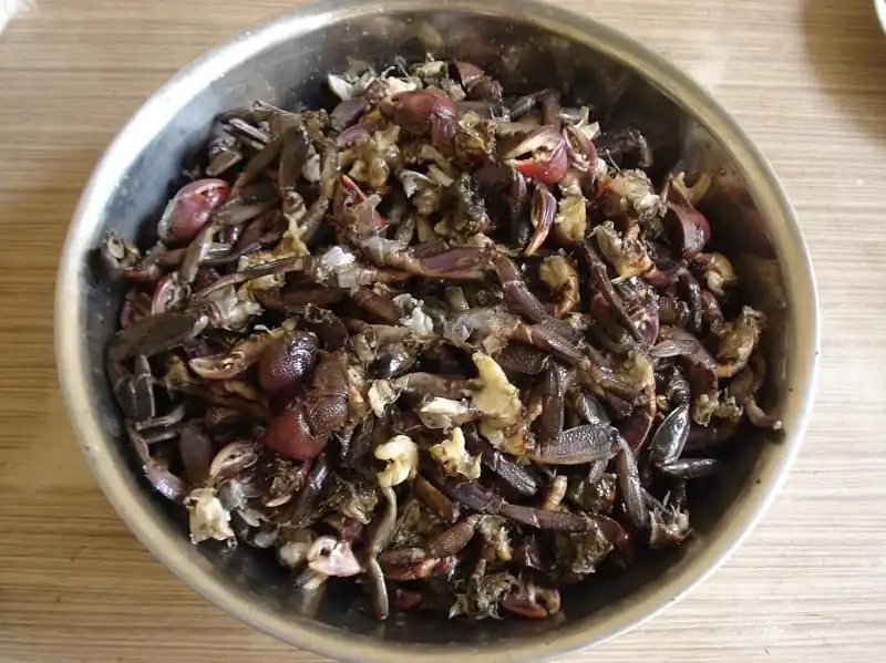 wanderlust_tips_5_dac_san_bac_lieu_5