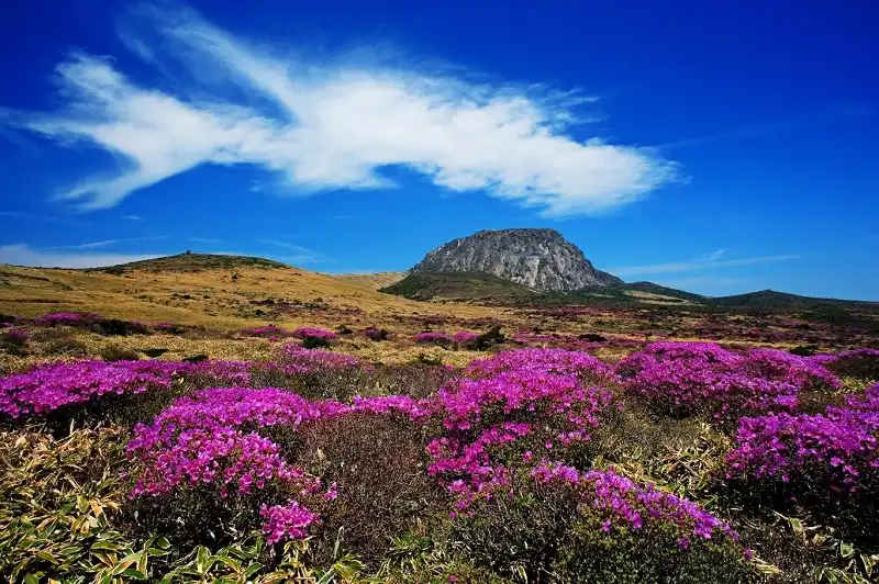 wanderlust_tips_5_thien_duong_du_lich_4