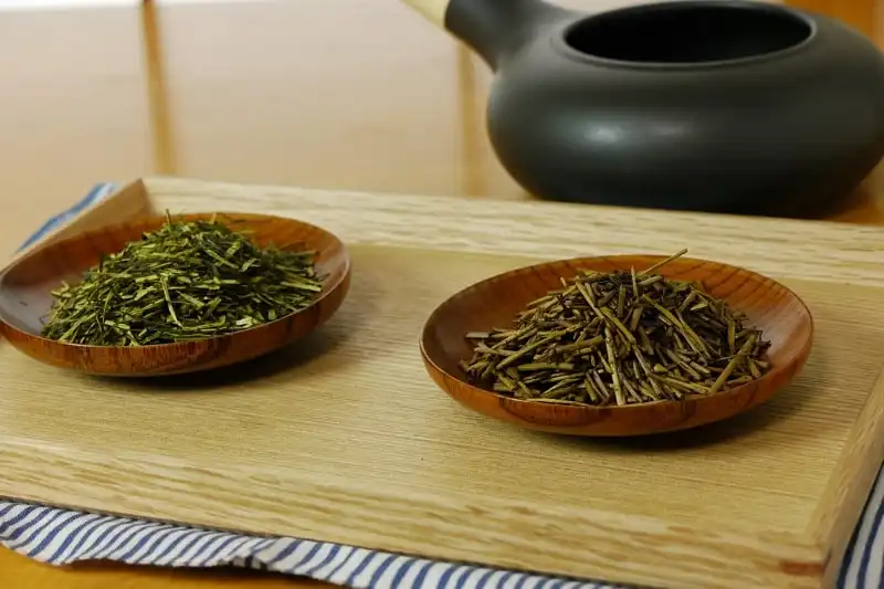 wanderlust_tips_6_loai_tra_cua_nhat_4