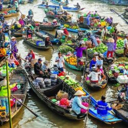 wanderlust tips 7 dieu tao nen du lich can tho 1