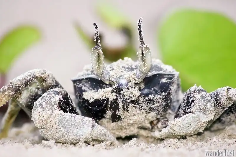 wanderlust_tips_8_dao_thien_duong_3