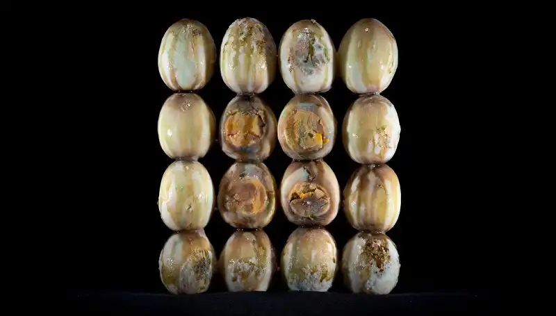 6 thành phố có "mùi" đặc trưng nhất thế giới 5 wanderlust_tips_8_mui_dac_trung_the_gioi_1